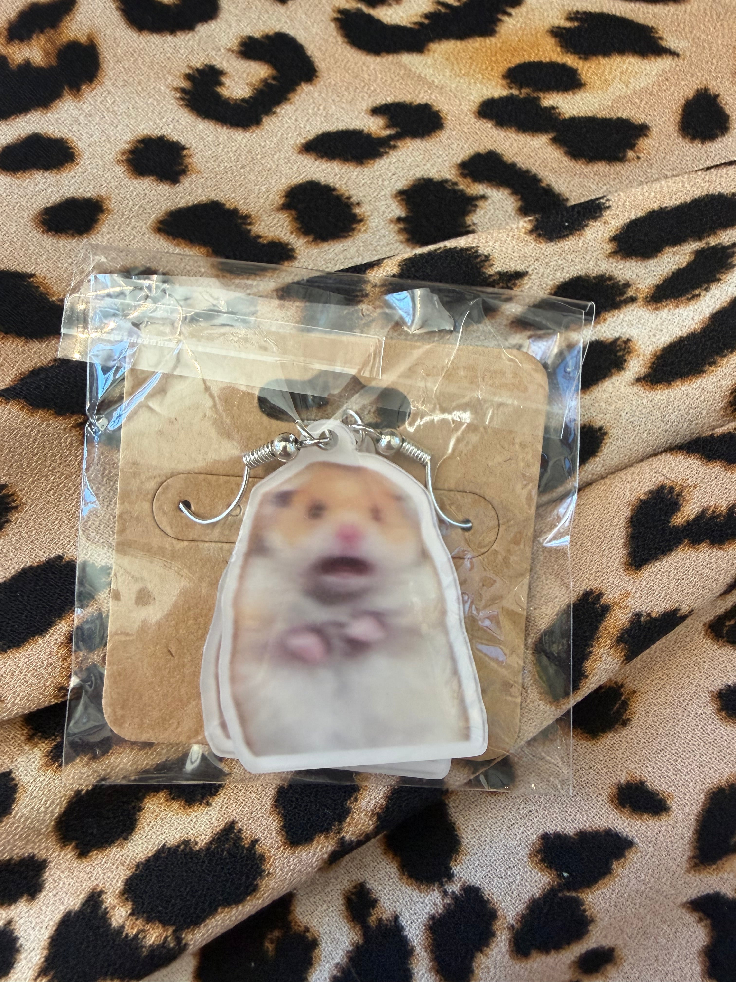 Fun Earrings